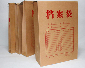 档案袋